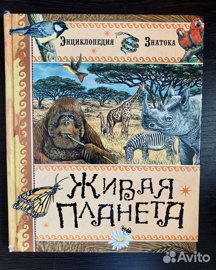 Детские книги - учебные пособия, энциклопедии