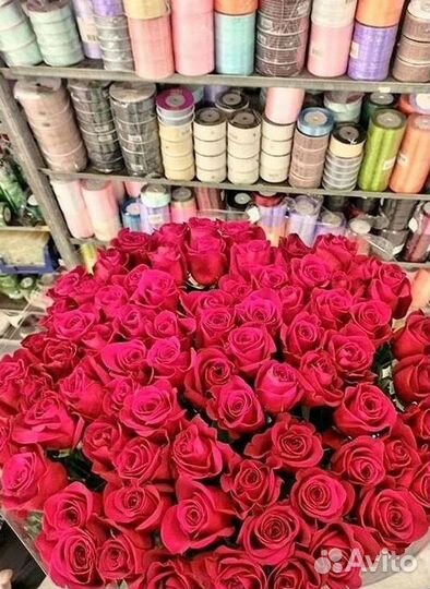 Розы Высокие 150см 160см 170см 180см 190см 2м