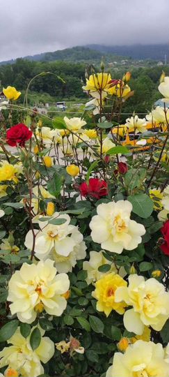 Комната 12 м² в 1-к., 1/1 эт.