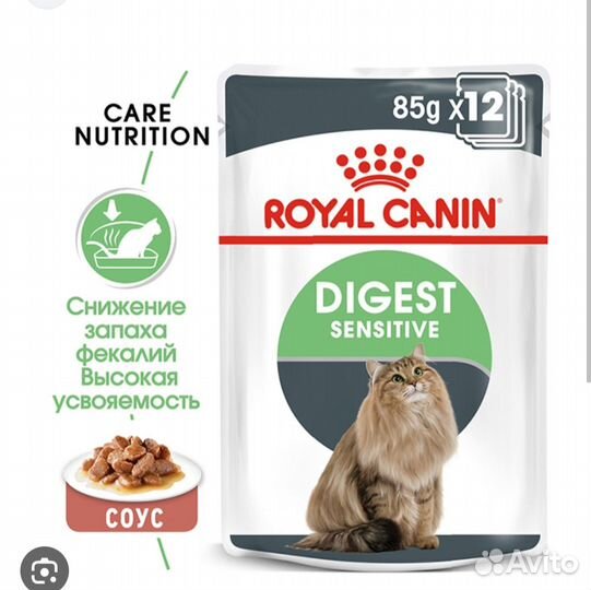 Влажный корм для кошек royal canin
