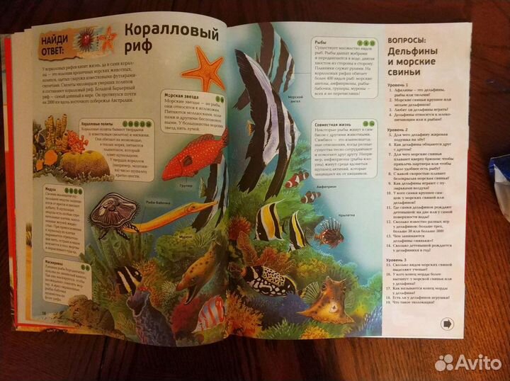 Энциклопедии для школьников