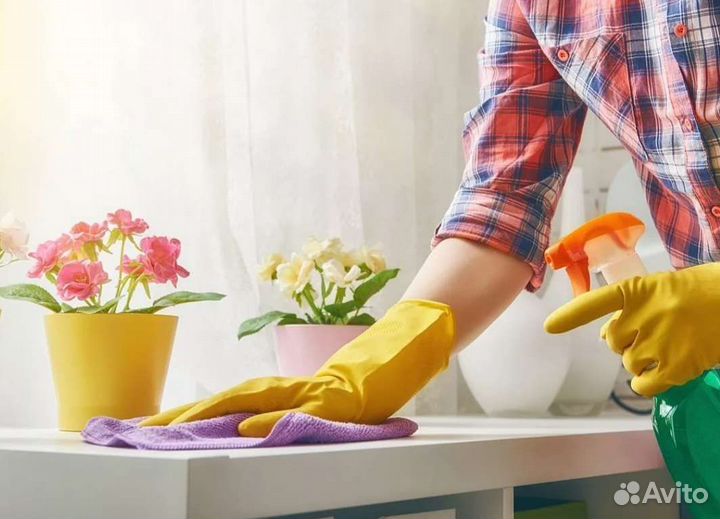 Уборка квартир Академический район домработница