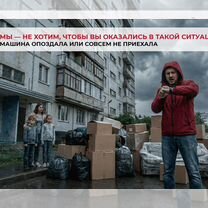 Переезды в другой город/ Междугородние переезды, Светогорск
