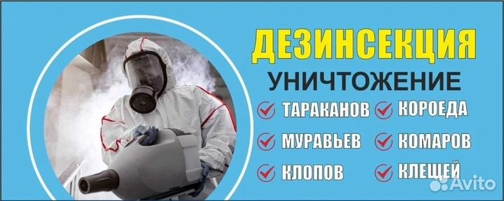 Введение плесени муравьи таракан клоп мыши