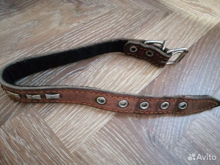 Ошейник для маленькой собаки