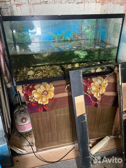Аквариум