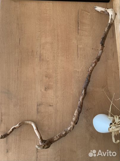 Коряга дрифтвуд