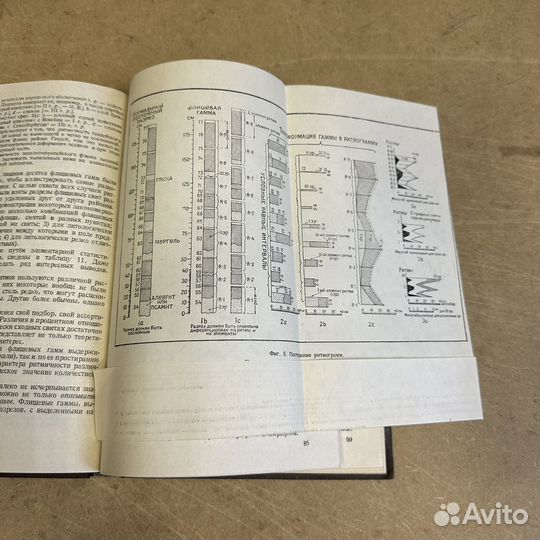 Флиш и методика его изучения Н. Б. Вассоевич 1948