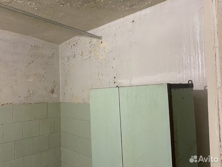 Уничтожение плесени