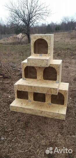 Гнездо для кур с яйцесборником