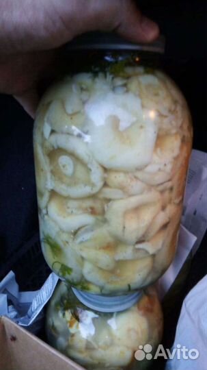 Грибы грузди соленые