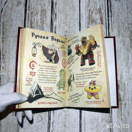 Дневники №1, №2 Гравити Фолз, (А5-15х21см., 64 ст)