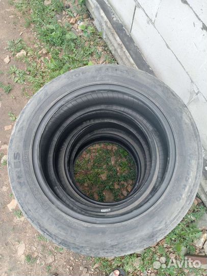 Nokian Tyres Nordman SX2 205/55 R16