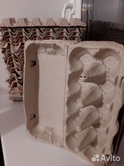 Упаковка из-под яиц (бесплатно)