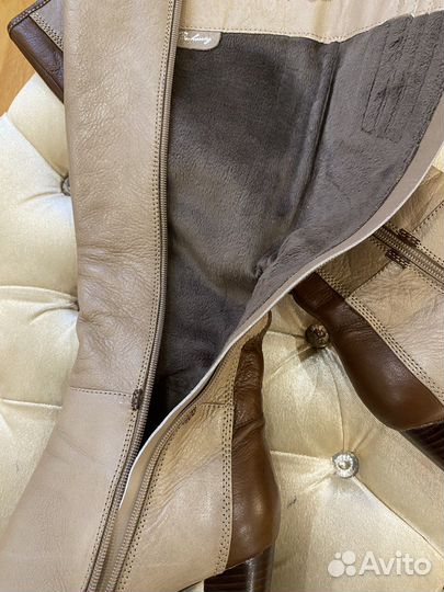 Сапоги демисезонные