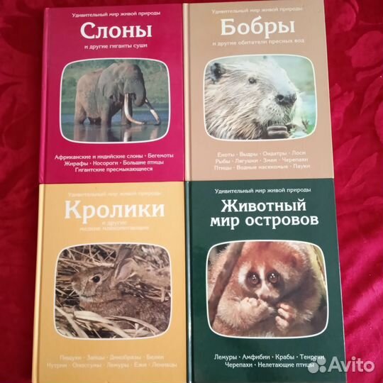 Книги для детей-3