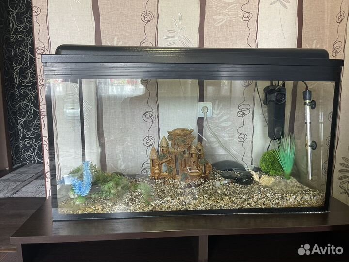 Аквариум