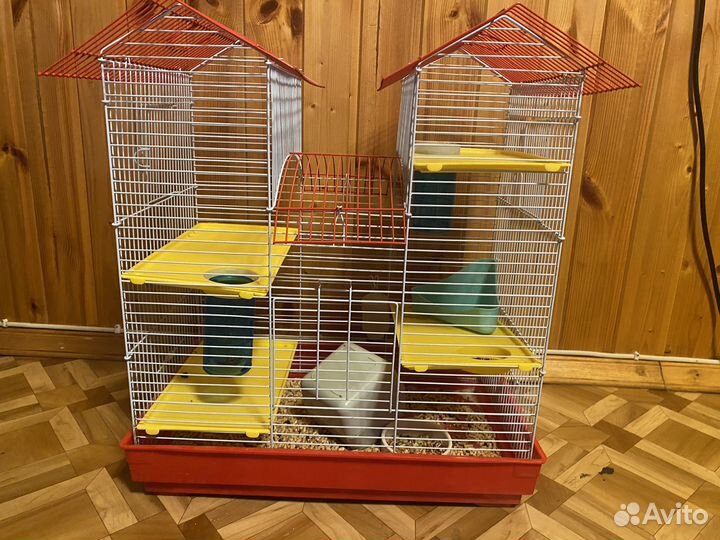 Сирийский хомяк девочка с клеткой