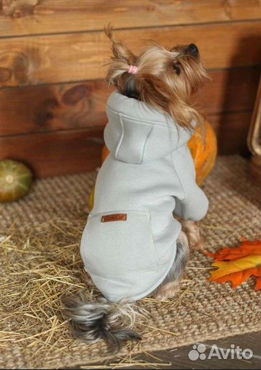 Толстовка для собаки. Размер S