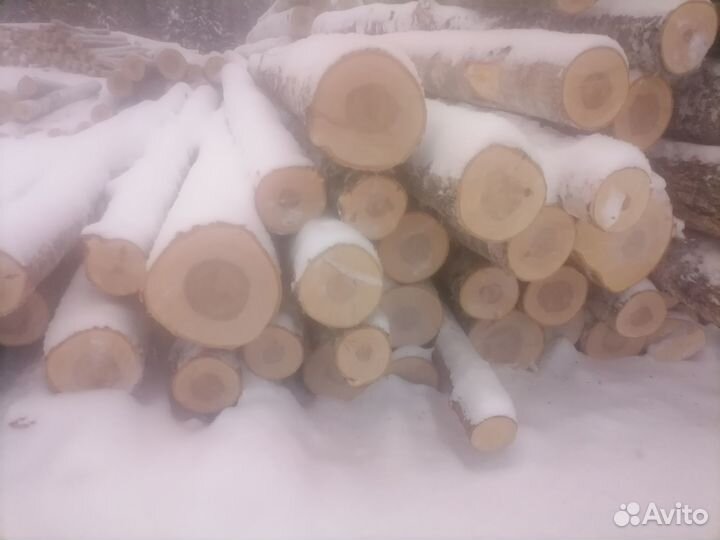 Лес кругляк береза осина