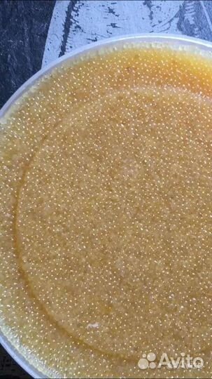 Икра щуки весенняя 2023г