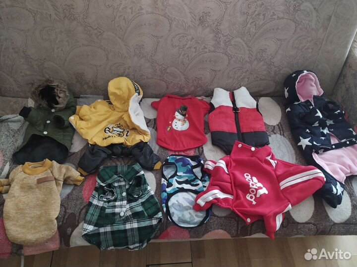 Вещи на собаку йорк