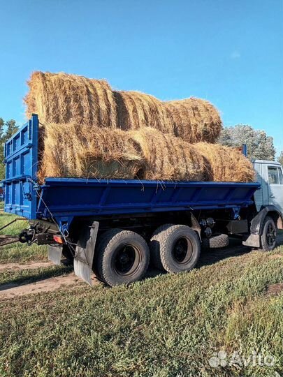 Сено и солома в тюках и рулонах