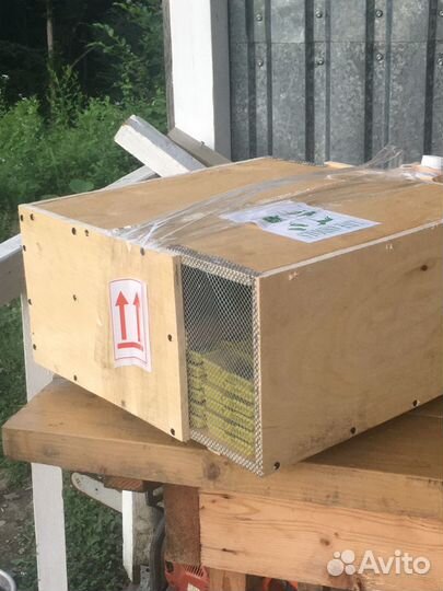 Пчелопакеты(бронь 2024) Москва, Воронеж,СПБ,Казань