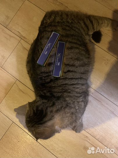 Оперативная память ddr3 4gb 1333