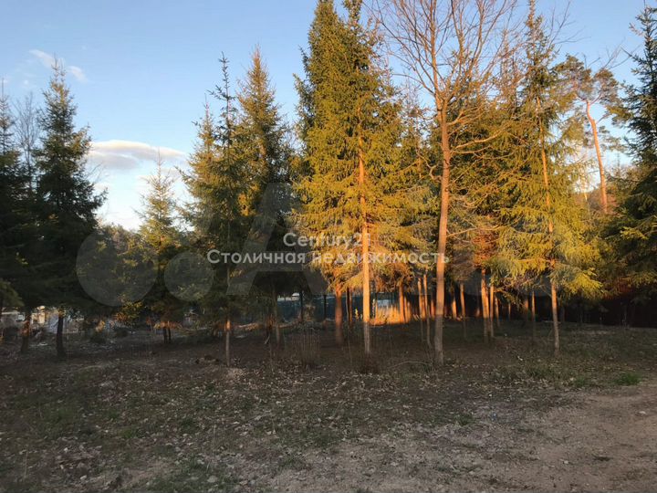 Участок 8 сот. (СНТ, ДНП)