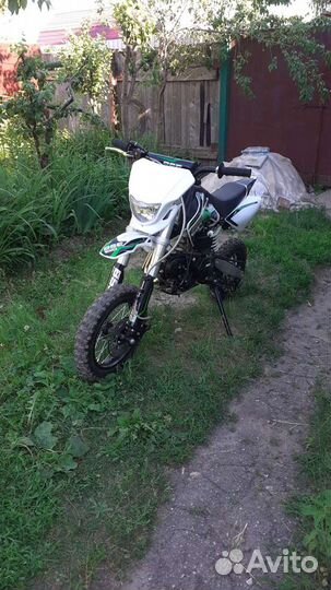 Питбайк BSE EVO 110EA 12/10 автомат