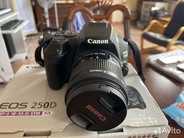 Зеркальная камера Canon EOS 250D чёрная