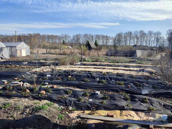 Участок 10,8 сот. (СНТ, ДНП)