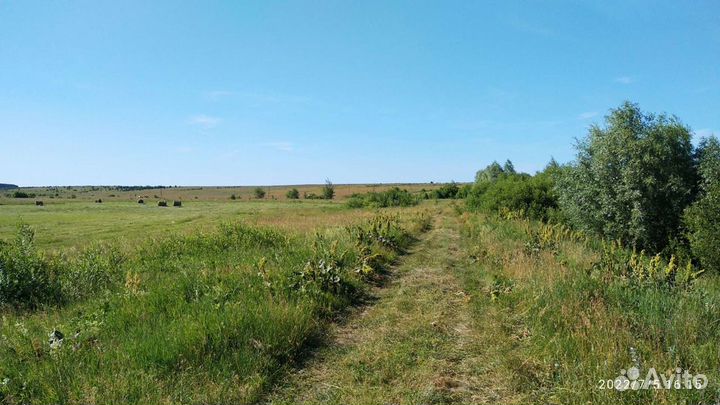 Сатсанг (проводник в Дзен)