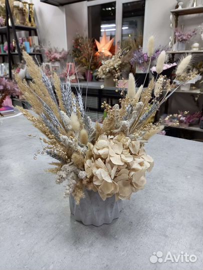Сухоцветы в кашпо / букет / декор / подарок