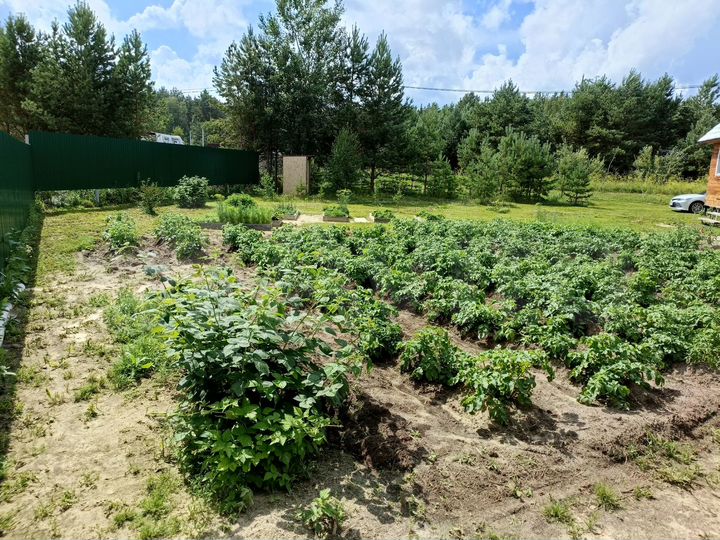 Участок 11,1 сот. (ИЖС)