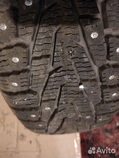 Nokian Tyres Nordman 7 SUV 215/70 R16 100