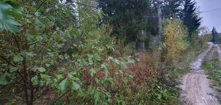 Участок 11,5 сот. (СНТ, ДНП)