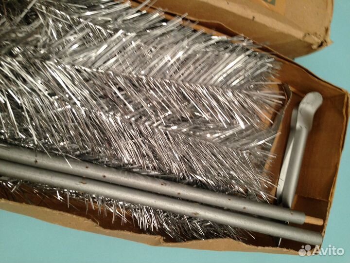 Елка серебристая СССР