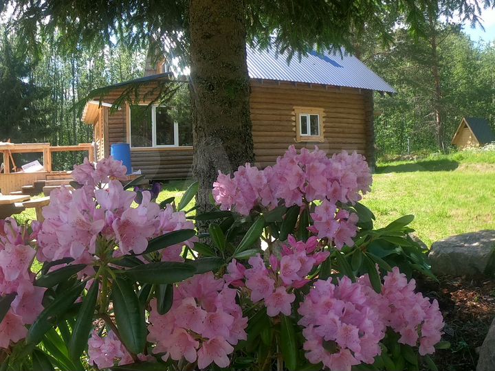 Дом 50 м² на участке 30 сот.