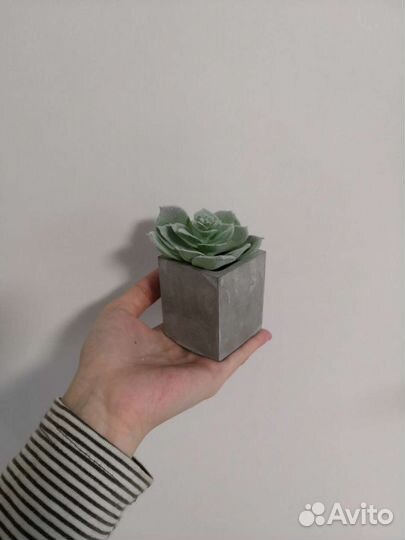 Кашпо из бетона