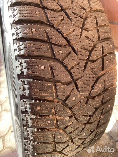 Bridgestone Blizzak DM-V1 215/50 R17