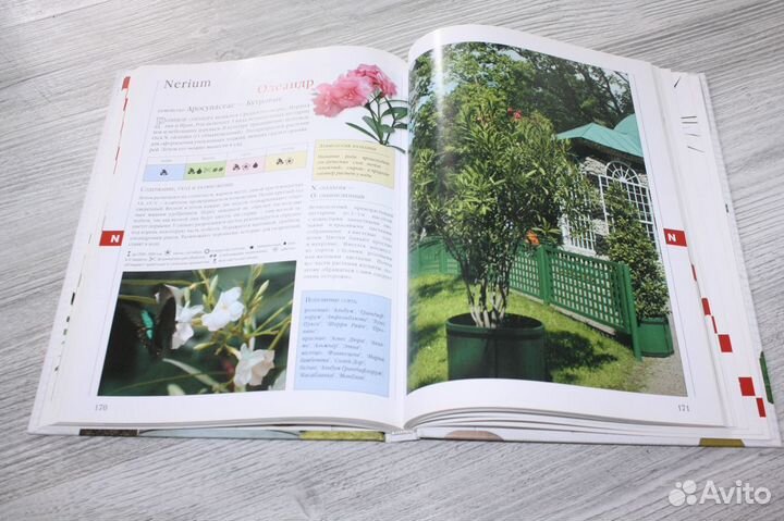 Книга. Библия комнатных растений