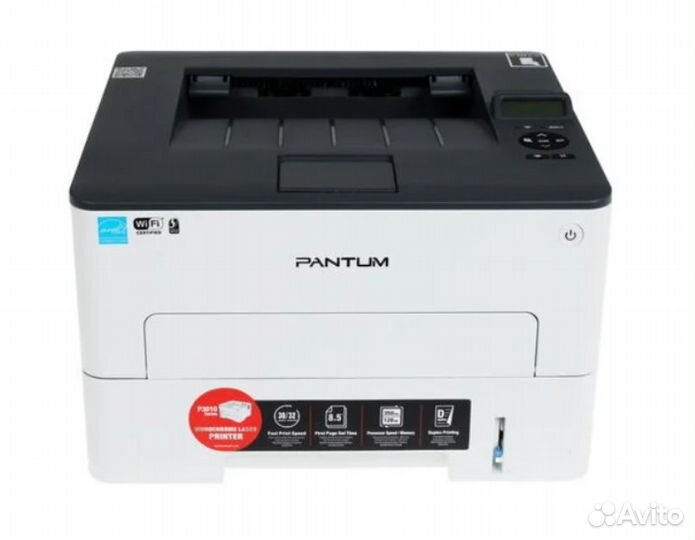 Pantum P3010DW
