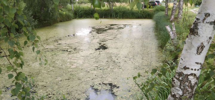 Участок 15 сот. (СНТ, ДНП)