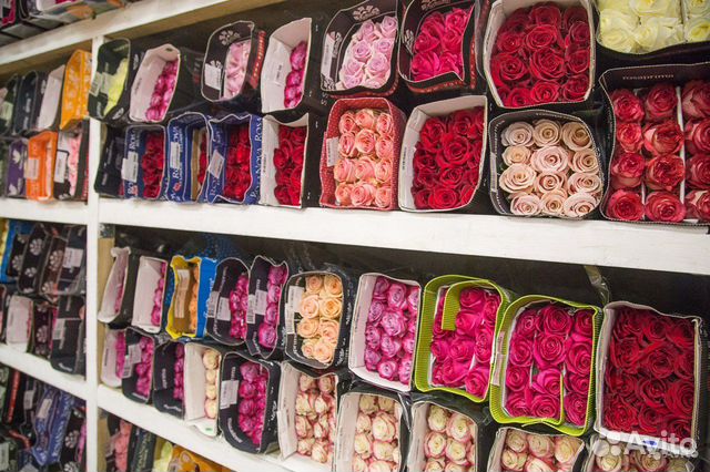 Цветы Розы и Букеты с доставкой оптом 60см