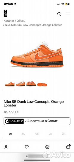 Nike sb dunk low orange lobster