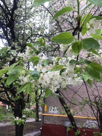 1-к. квартира, 39 м², 4/6 эт.