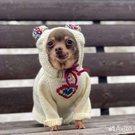 Вязаная одежда для собак и кошек