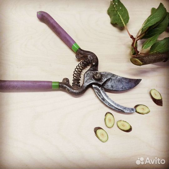 Заточка ножей